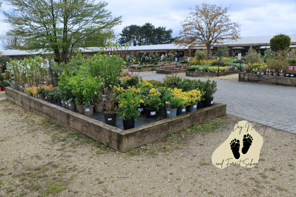 nursery in north muskham